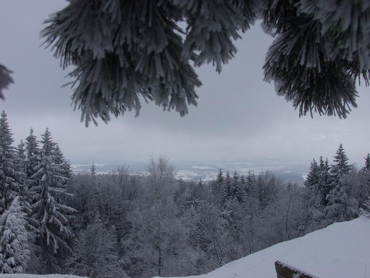 Hotel Steiner Wirt Tiefenbach  Esterno foto